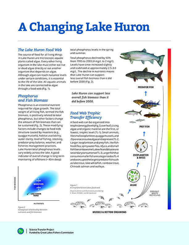 Thumbnail of the A Changing Lake Huron fact sheet available from the link.